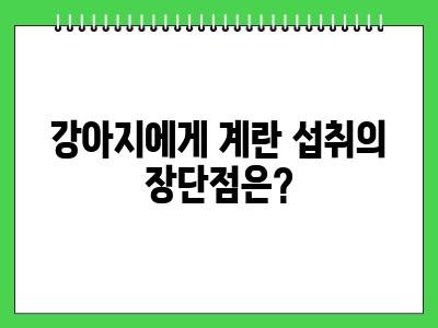 강아지 계란 먹어도 되나요?