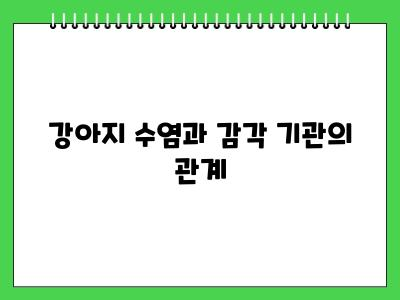 강아지 수염 자르면 큰일납니다