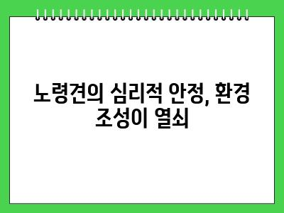 노령견 케어 10가지 수칙 어려운거 없어요