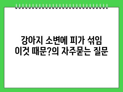 강아지 소변에 피가 섞임 이것 때문?