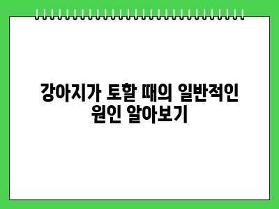 강아지 토 할 때와 응급처치 (이건 꼭 기억하세요!)