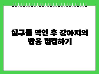 강아지 살구 먹어도 되나요?