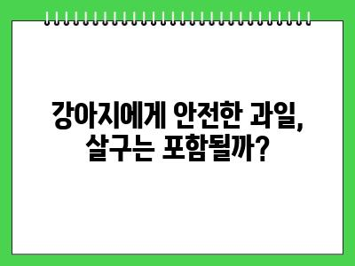강아지 살구 먹어도 되나요?