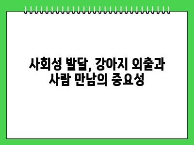 1인가구 강아지 키우기 최소한 이것만 지켜주세요