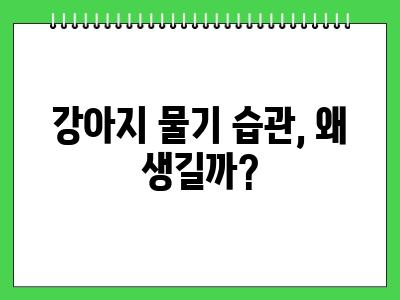 3개월 강아지 무는 습관 이럴 땐 어떡하죠?
