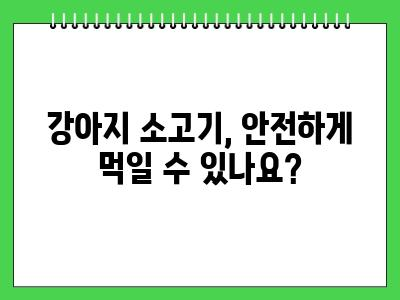 강아지 소고기 먹어도 되나요? 제발 이거 모르면 주지마세요