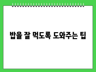 고양이가 밥을 잘 안먹어요 이것 확인해 보셨나요?