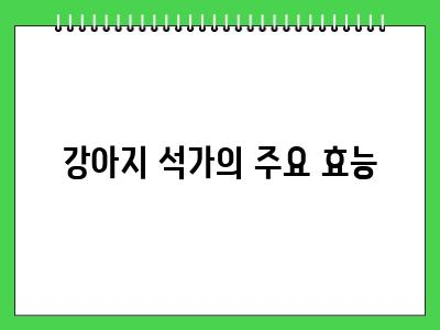 강아지 석가 먹어도 되나요? 효능 주의사항