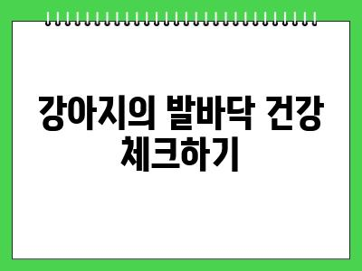 강아지미용후 발바닥 핥아요