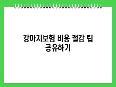 강아지보험 추천 처음이시라면 우선 이렇게 해보세요