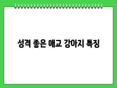 애교 많은 강아지 종류 BEST5