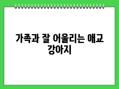애교 많은 강아지 종류 BEST5