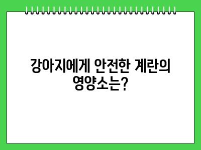 강아지 계란 먹어도 되나요?