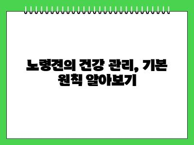 노령견 케어 10가지 수칙 어려운거 없어요