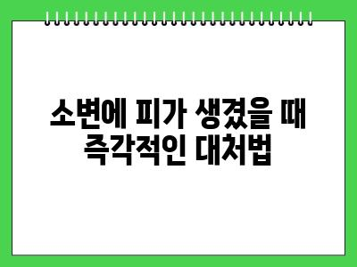 강아지 소변에 피가 섞임 이것 때문?