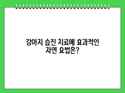 강아지 습진 사람연고 발라도 되나요?