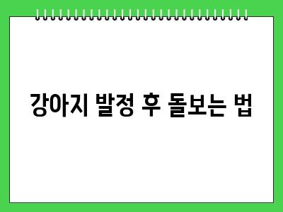 강아지 발정 대처 방법 익숙해지면 별거 아니에요