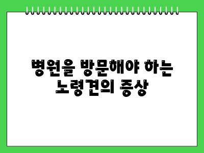 노령견 스케일링 이런치아 상태라면 병원가세요