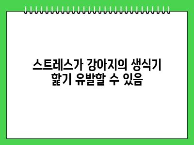 강아지가 생식기를 핥는 이유 이것 가능성 있음