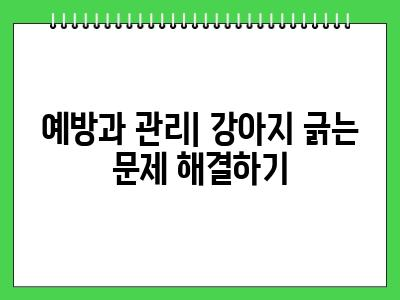 강아지가 긁는이유 이것 확인해보세요 2024년