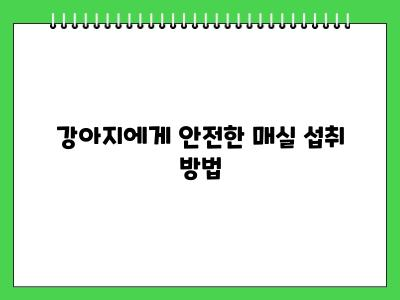 강아지 매실 먹어도 되나요?