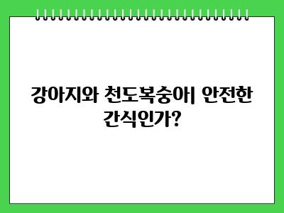 강아지 천도복숭아 먹어도 되나요?