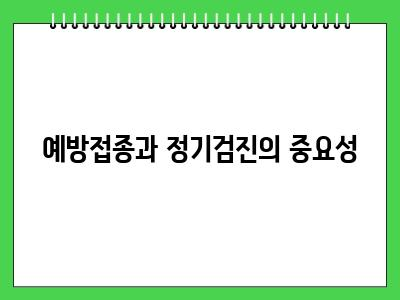 노령견이 걸리기 쉬운 질병 이것보고 건강관리 해주세요