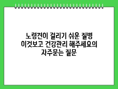 노령견이 걸리기 쉬운 질병 이것보고 건강관리 해주세요