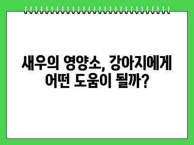 강아지 새우(대하) 먹어도 되나요?