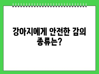 강아지 감 먹어도 되나요?