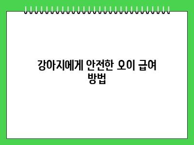 강아지도 오이 먹어도 될까? 급여량