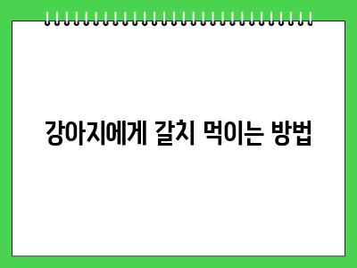 강아지 갈치 먹어도 되나요?