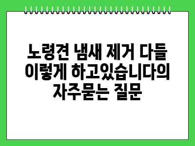 노령견 냄새 제거 다들 이렇게 하고있습니다