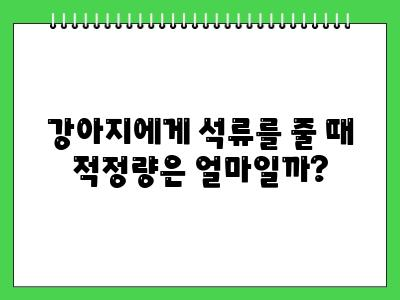 강아지 석류 먹어도 되나요? 주의사항