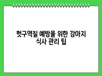 강아지가 밥먹고 난 후 헛구역질 및 구토 이것때문