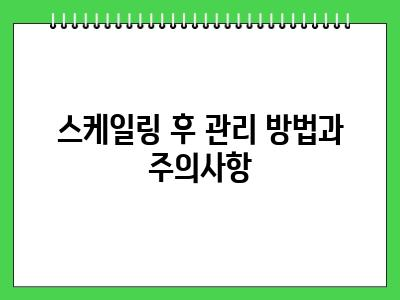 노령견 스케일링 이런치아 상태라면 병원가세요