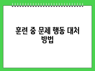강아지 배변판 훈련 정석대로 알려드릴게요