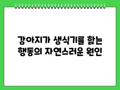 강아지가 생식기를 핥는 이유 이것 가능성 있음