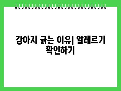 강아지가 긁는이유 이것 확인해보세요 2024년