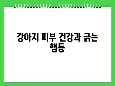 강아지가 긁는이유 이것 확인해보세요 2024년