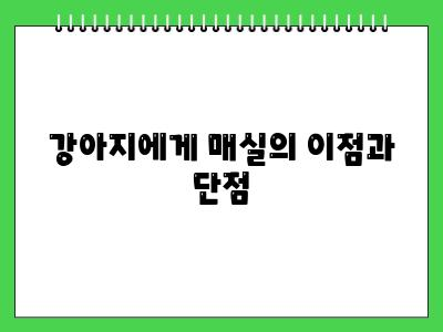 강아지 매실 먹어도 되나요?