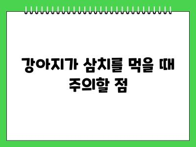 강아지 삼치 먹어도 되나요?