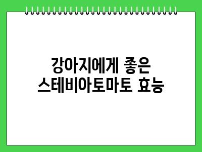 강아지 스테비아토마토 먹어도 되나요? 효능
