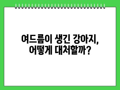 강아지도 여드름 생기나요?