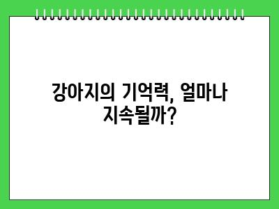 강아지 기억력 이정도라고?