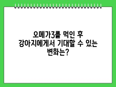 강아지 오메가3 언제부터 먹이나요?