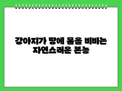 강아지가 땅에 몸을 비비는 이유