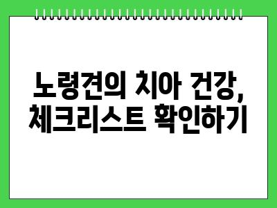 노령견 스케일링 이런치아 상태라면 병원가세요