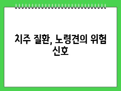 노령견 스케일링 이런치아 상태라면 병원가세요