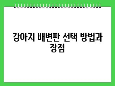 강아지 배변판 훈련 정석대로 알려드릴게요